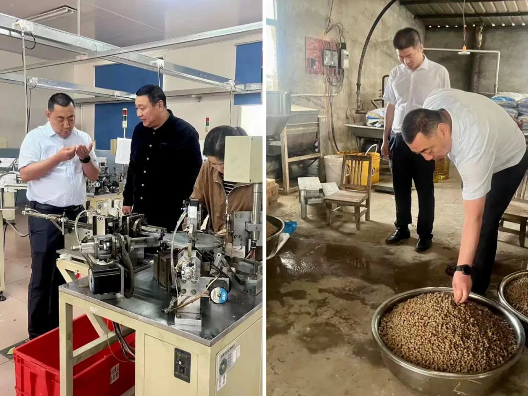 1686824182970003171.jpg 640 (3).jpg